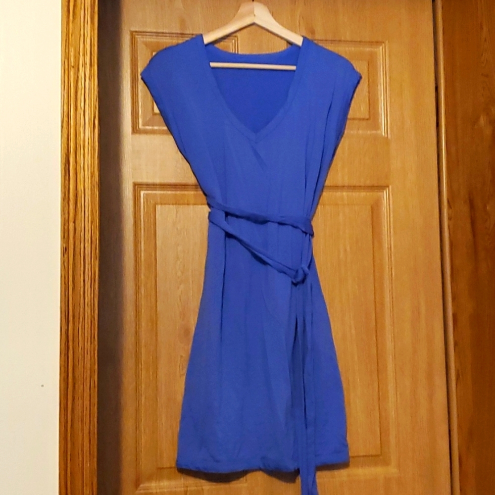 Icebreaker Merino wool v neck dress Medium